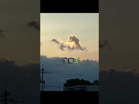 輝けるもの🐲#shortvideo #shorts #short #sky #龍雲 #龍神様