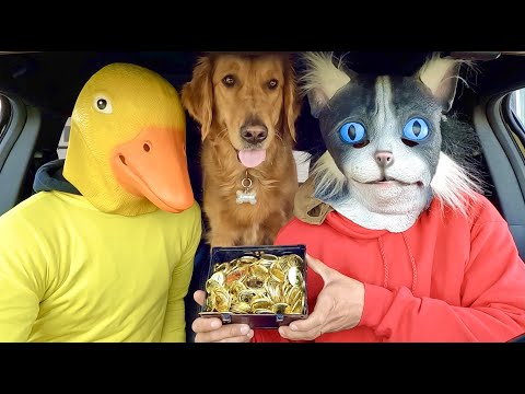 Cat Surprises Puppy & Rubber Ducky with Car Ride Chase!