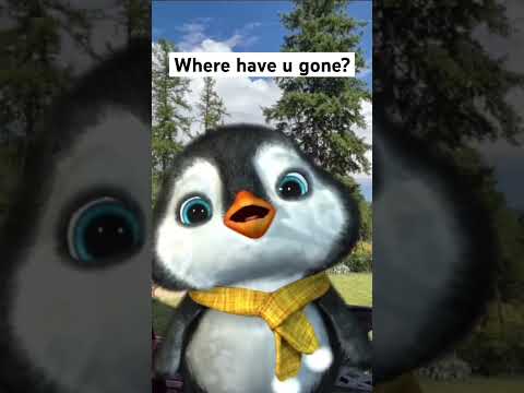 I miss my bestie #whereareyou #bestie #imissyou #cuteanimals #penguin