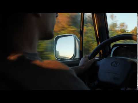 Young Man Driving | Copyright Free Video Footage