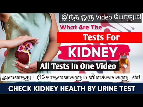 What are the tests done for kidney diseases? | Kidney disease tests in tamil/Kidney disease in tamil