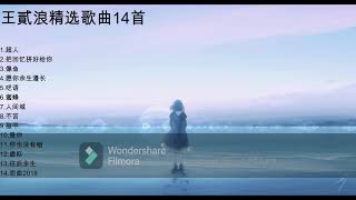 王貳浪精选歌曲14首