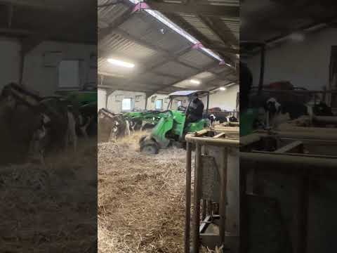 Farm Cows #shorts #fyp #cow #feeding #milking #hoofing