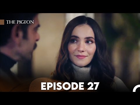 The Pigeon Episode 27 (FULL HD)