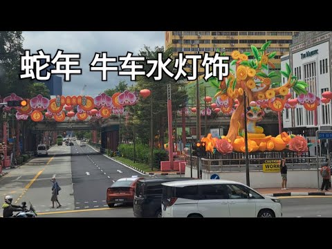 新加坡牛车水蛇年灯饰/Singapore Chinatown Year Of The snake decoration