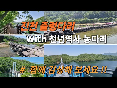 진천 출렁다리 # 진천 농다리 #  진천 여행