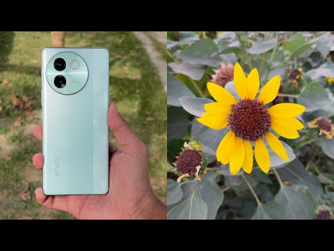 Vivo V30e 5G - Complete Camera Test! (50MP Dual OIS Camera)