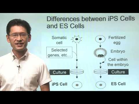 Week8 Part3 The Production of iPS Cells