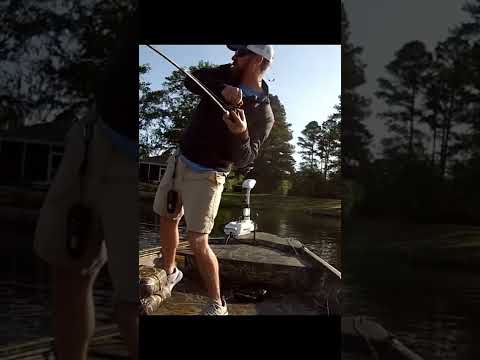 Bass Fishing | Santee Cooper | #fishing #bassfishing