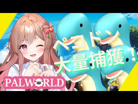 【PALWORLD】推しパルのペコドンを大量捕獲する！！！