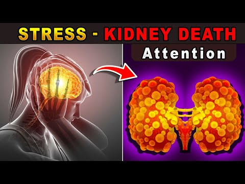 Shock ! How CKD Patients from Stage 1 to 5 Are SAVING Their Kidneys  | Healthy lifestyle