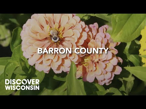 Chillin' Out in Wisconsin: Barron County