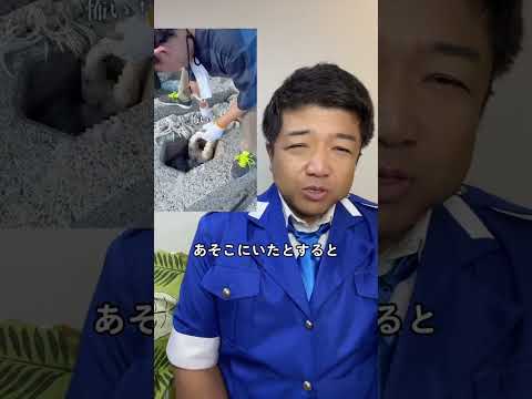 #そば湯 #警察 #〇体損壊