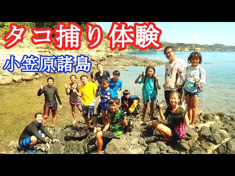 母島のタコ捕り(島っ子達の大冒険)磯遊びを学ぼう【小笠原諸島】アナダコ捕り体験