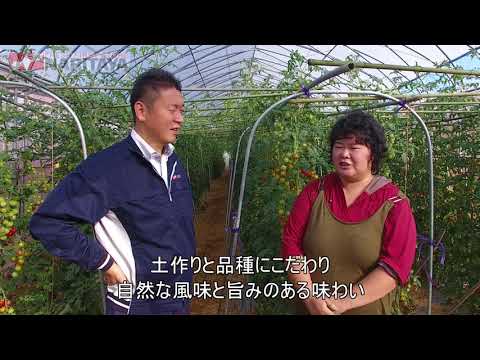 ナリタヤやさい 長野県小諸市・掛川育臣さんのミニトマト