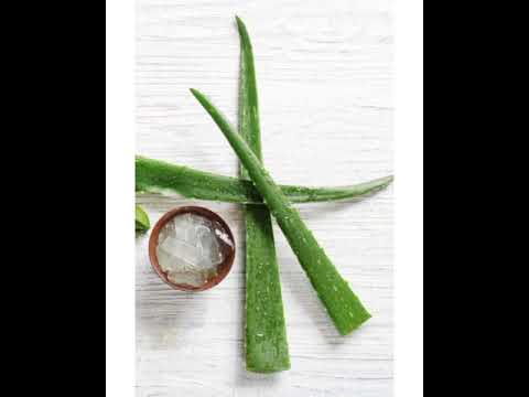 # Aloe vera  # Benefits and uses