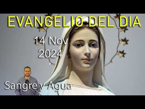 Evangelio Del Dia Hoy - Jueves 14 Noviembre 2024- Sangre y Agua