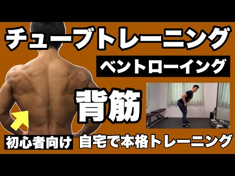 【背筋】逆三角形の背中、くびれ作りに！初心者向けチューブトレーニング