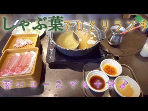 ひとりでしゃぶ葉でランチ！安いコースでも満足♪