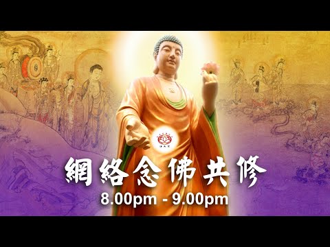 【同步】净土宗网络念佛【第1704天】+ 开示视频《皈依三宝》 16-11-2024 Online Recitation Session（晚上8pm-9pm (GMT+8))【打开CC字幕】