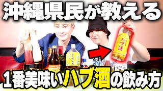 【大絶賛!?】ハブ酒嫌いも認めた(?)世界で一番美味いハブ酒の飲み方を教えちゃいます【デジスターチャンネル】