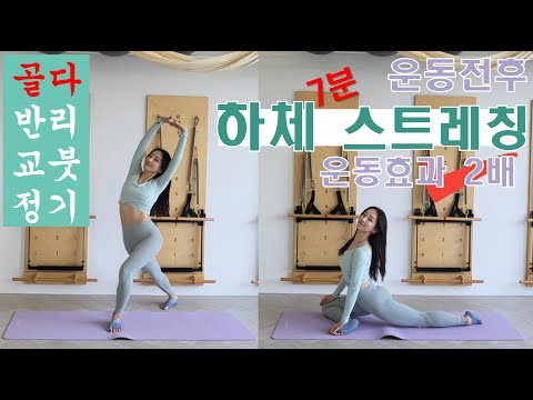 ■바디프로필 준비■ 스트레칭 _ 골반, 하체편 🍑