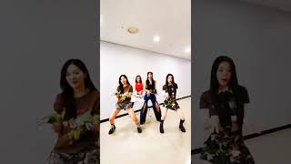 #newsong #birthday🎶 #redvelvet ❤️ #birthdaychallenge