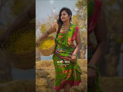 महुआ गिरत हे टप टप | Mahuaa Phool #cgsong #shorts