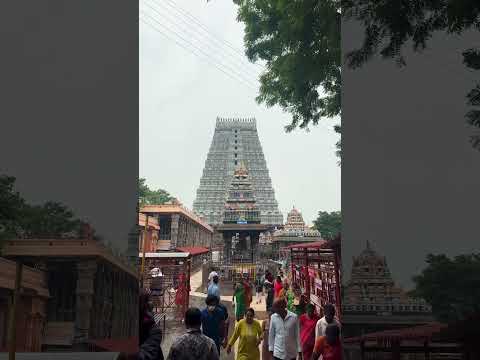 One of the best shiva temple in India🕉️🙏#travel#templediaries #viralvideo#templevibes #templelover