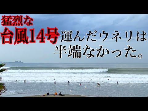 猛烈な台風が運んだウネリは極上でした。