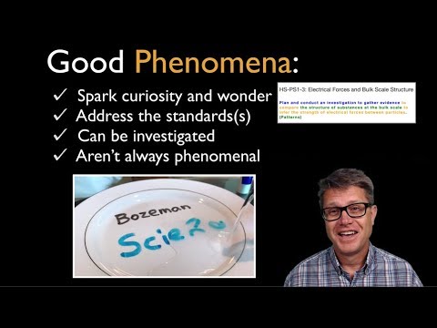 Scientific Phenomenon and Sensemaking