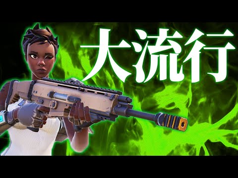 プロで大流行中の『フルカスタムストライカーAR』が強過ぎるｗｗ【フォートナイト/Fortnite】