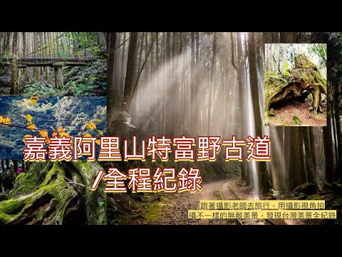 阿里山特富野古道全程紀錄 #台灣旅遊紀錄 #幸福彩繪攝影企劃 #手機攝影教學 #預約教學 #人像拍攝 #健行步道 #古道 #大自然 #旅遊景點拍攝