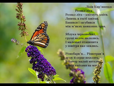 Лідія Киряненко  Розпал літа. Вчимо вірш он-лайн з дітьми.