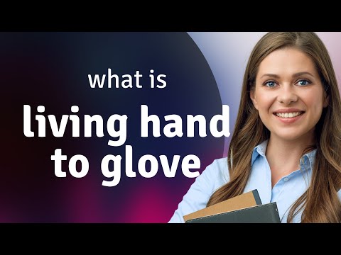 Unraveling the Meaning of "Living Hand to Glove"