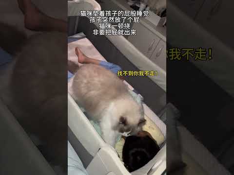 这猫掏不出来直接睡孩子身上了… #猫和孩子