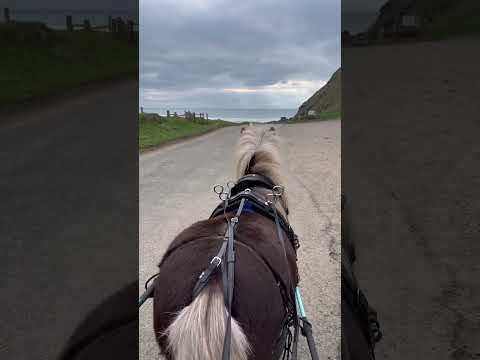 A little skate with Seb & Bridget! Bonus glimpse of the sea! 🌊🥰 (spot the tacking up Error😂)