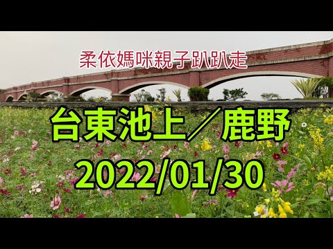 台東池上/鹿野 2022/1/30 (2022/1/29-2/3花東行-06）