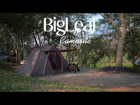 EP.14 BigLeaf Campsite อ.แก่งกระจาน จ.เพชรบุรี/Camping/Snowpeak/LivingShell S