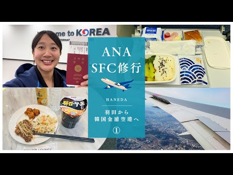 【ANA SFC修行】プラチナ会員を目指すべく羽田から韓国経由してシドニーへ!?!?