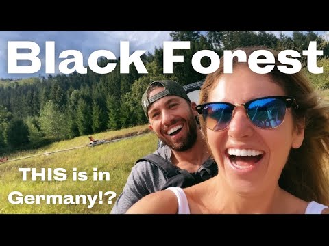 Germany’s Black Forest 🇩🇪 7 Unique Experiences