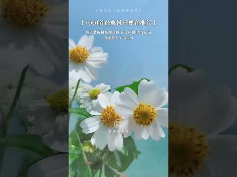 讓人輕鬆愉悅的一曲古風純音樂，最愛的China古風。# 國樂#禪音#五音療愈#中國樂器#靜心純音樂古風音樂純音樂分享