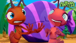 Giant Candy Chaos! | Antiks 🐜 | Funny Cartoons for Kids