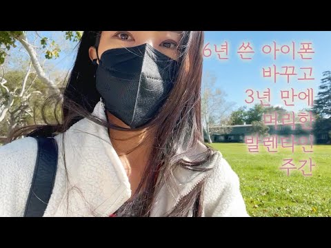 [V-Log #15] 아이폰 사고 머리 염색 한 발렌타인 데이 주간 - 파머스 마켓 햄버거