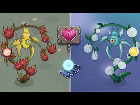 Rare Clavi Gnat - All Animations & Breeding (My Singing Monsters)