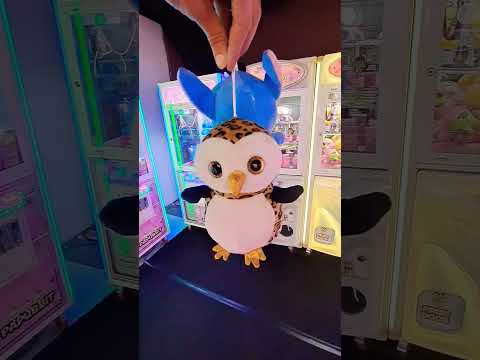 How to Win These Claw Machine Prizes Arcade Game Papubbit Stitch Disney