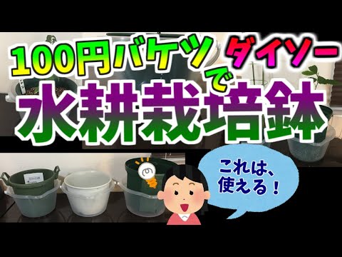 ダイソーの100円バケツで水耕栽培プランターを作りました。半透明のバケツにすれば液体肥料の残量が一目瞭然、便利です。