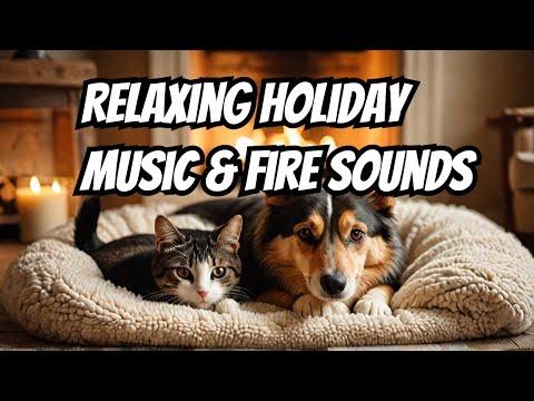 Calm Your Anxious Pets with Christmas Music & Crackling Fire sounds