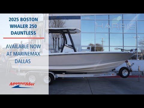 2025 Boston Whaler 250 Dauntless