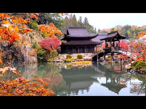 【虎渓山永保寺　最高の紅葉】　岐阜県多治見市　2024年12月7日（土）　　Gifu-Japan